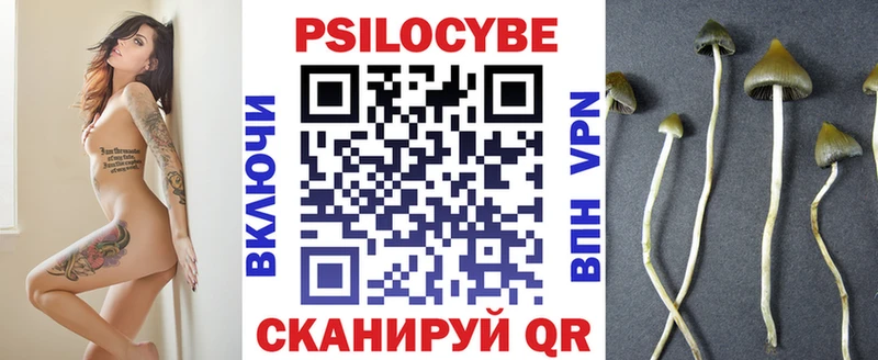 Псилоцибиновые грибы GOLDEN TEACHER Лесозаводск