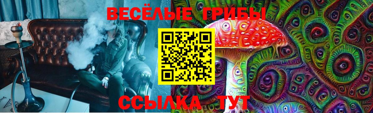 Псилоцибиновые грибы мухоморы Лесозаводск