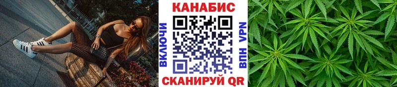 купить наркотики сайты  мориарти клад  МАРИХУАНА SATIVA & INDICA  Лесозаводск 